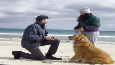 Sahibinin evlenme teklifine şahit olan köpeğin mutluluğu izleyenleri güldürdü
