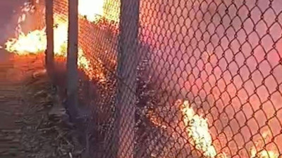 Ödemiş'te çıkan orman yangını