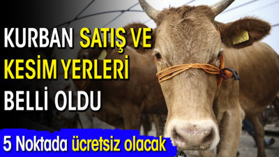 Kurban satış ve kesim yerleri belli oldu! 5 Noktada ücretsiz olacak