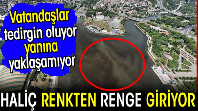 Haliç renkten renge giriyor! Vatandaşlar tedirgin oluyor yanına yaklaşamıyor