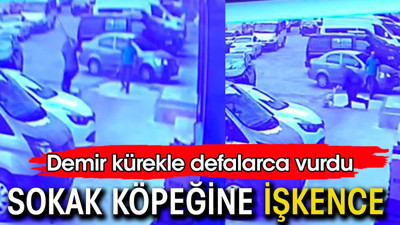 Sokak köpeğine işkence. Demir kürekle defalarca vurdu
