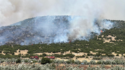 Kahramanmaraş'taki orman yangını kontrol altına alındı (03 Temmuz 2024)