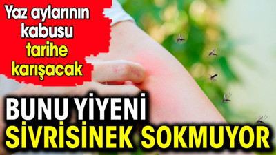 Bunu yiyeni sivrisinek sokmuyor! Yaz aylarının kabusu tarihe karışacak