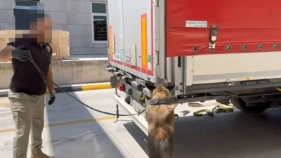 Edirne'den giriş yapan TIR'da 266 kilo skunk ele geçirildi