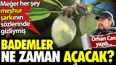 Badem bıyıklılar ne zaman gidecek?