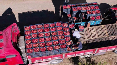 Adıyaman’ın organik narları Avrupa'ya açıldı