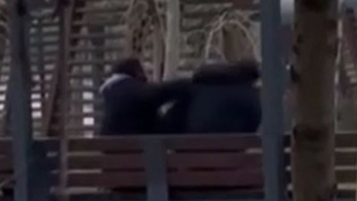 Kadının erkeğe şiddeti kamerada