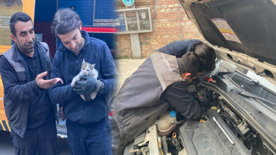 Bursa'da kaputa sıkışan kediye yardım eli