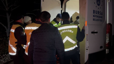 Ormandaki vahşetin gizemi çözüldü