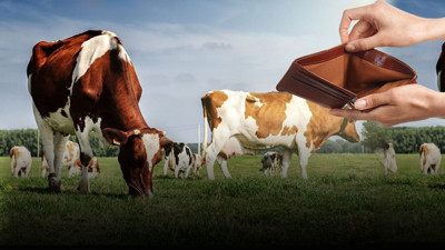 Devlet bu kez çiftçinin cebine göz dikti! Artık o da ücretli olacak
