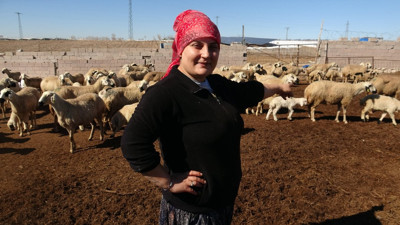 Kayserili Ayşe, 300 küçükbaşa çobanlık yapıyor