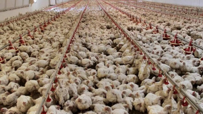 Türkiye'nin 54 yıllık gıda devi iflastan döndü