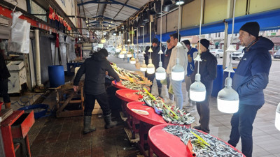 Hamsinin fiyatı şoke etti