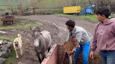'Kral' dostluğuyla göz dolduruyor!