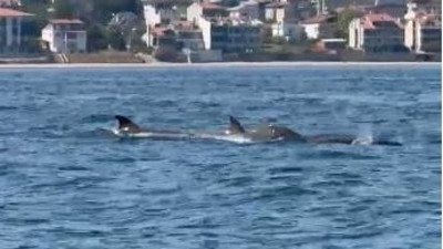 Tekirdağ'da denizi istila ettiler