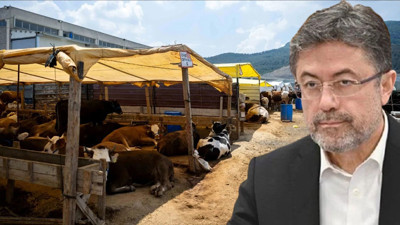 Kurban pazarında elleri boş kalanlar için Bakan Yumaklı’dan destek açıklaması