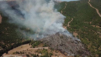 Kocaeli’de ağaçlık alanda çıkan yangınla ilgili önemli gelişme