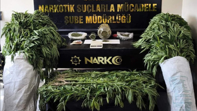 Evinin bahçesinde yetiştiriyordu: Uyuşturucu taciri yakalandı
