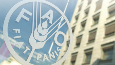 Türkiye, FAO konsey üyeliğine seçildi