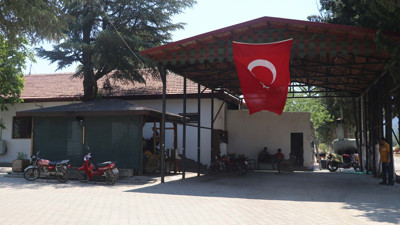 Denizlili ormancıların son nöbeti! Alevler arasında kaldılar