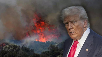 Orman yangını Trump projesi mi?