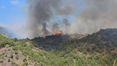 Tokat’ta korkutan orman yangını!