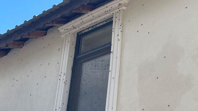 Koca ilçe ev hapsine girdi! Kapı pencere açamıyorlar
