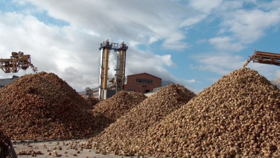 Şeker fabrikası siloları kapattı, şeker pancarı tarlada kaldı
