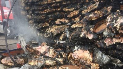 Tavuk eti yüklü TIR'da yangın çıktı