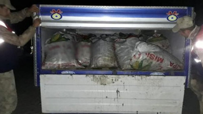 Van'da 5 ton inci kefali ele geçirildi
