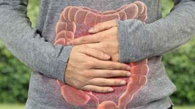 "Serotonin üretiminin yüzde 90'ı bağırsaklarda"