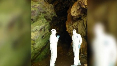 Virüs avcıları, 500 yeni korona virüs tespit etti
