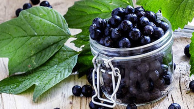 'Süper meyve' diyorlar! İşte aronyanın vücuttaki etkisi
