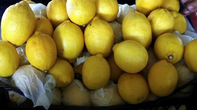 Limon ihracatında ön izin şartı kaldırıldı