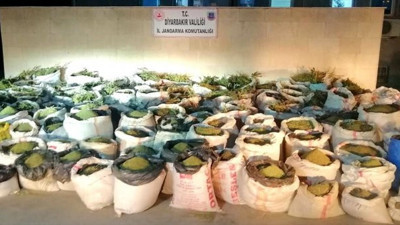 Bakan Soylu dev operasyonu duyurdu! Lice'de tonlarca uyuşturucu ele geçirildi