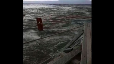 Denizin içinden gelen böğürtü gökyüzünü kapladı, Tsunami korkusundan artık kimse yanına yaklaşmıyor!