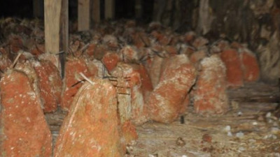 36 metre derinlikten çıkan lezzet. 5 ay zifiri karanlıkta bekletiliyor. Sofralarımızın vazgeçilmezi