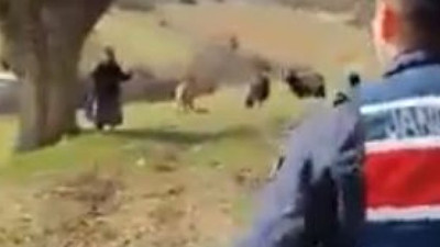 Böyle şey mi olur? Asıl doğru olanı o yapıyor, dağda bayırda korona kimden geçecek ki, uyarıyı yapanın da maskesi çenesinde