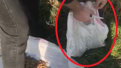 Bursa’da çuvalda ölüme terk edilen yavru köpekleri böyle kurtardılar. İyi insanlar iyi ki var