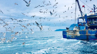 Karadeniz'den balıkçılar kötü haber. Olması gerekenden 5 derece daha sıcak