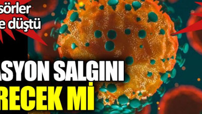 Mutasyon salgını bitirecek mi. Profesörler birbirine düştü. Okuyun kararı siz verin