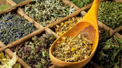 Dr. İpek Ada Alver'den çok önemli uyarı: Korona virüs hurafeleri ani ölüme neden olabilir