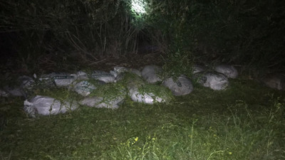 Van'da çuvallar dolusu balık operasyonu