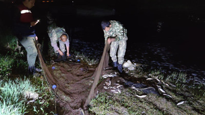 Tonlarca kaçak inci kefali avlandı