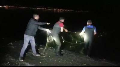 Van'da, kaçak avlanan 2 ton 350 kilo inci kefali ele geçirildi