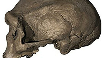 146 bin yıllık keşif ejderha adam