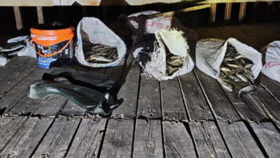 Van'da 250 kilo kaçak inci kefali ele geçirldi
