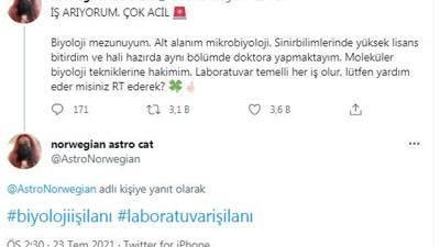 Üniversite mezunu işsiz genç kız son çareyi Twitter'da arıyor