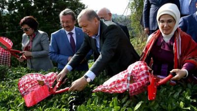 Cemil Çiçek'ten, Erdoğan'ı şoke edecek açıklama