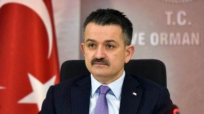 Balıkçılara müsilaj desteği